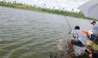 中国钓鱼人爆料视频,揭秘水下世界与民间智慧